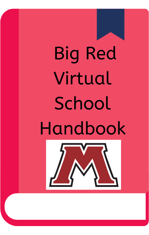 Handbook for virtual school